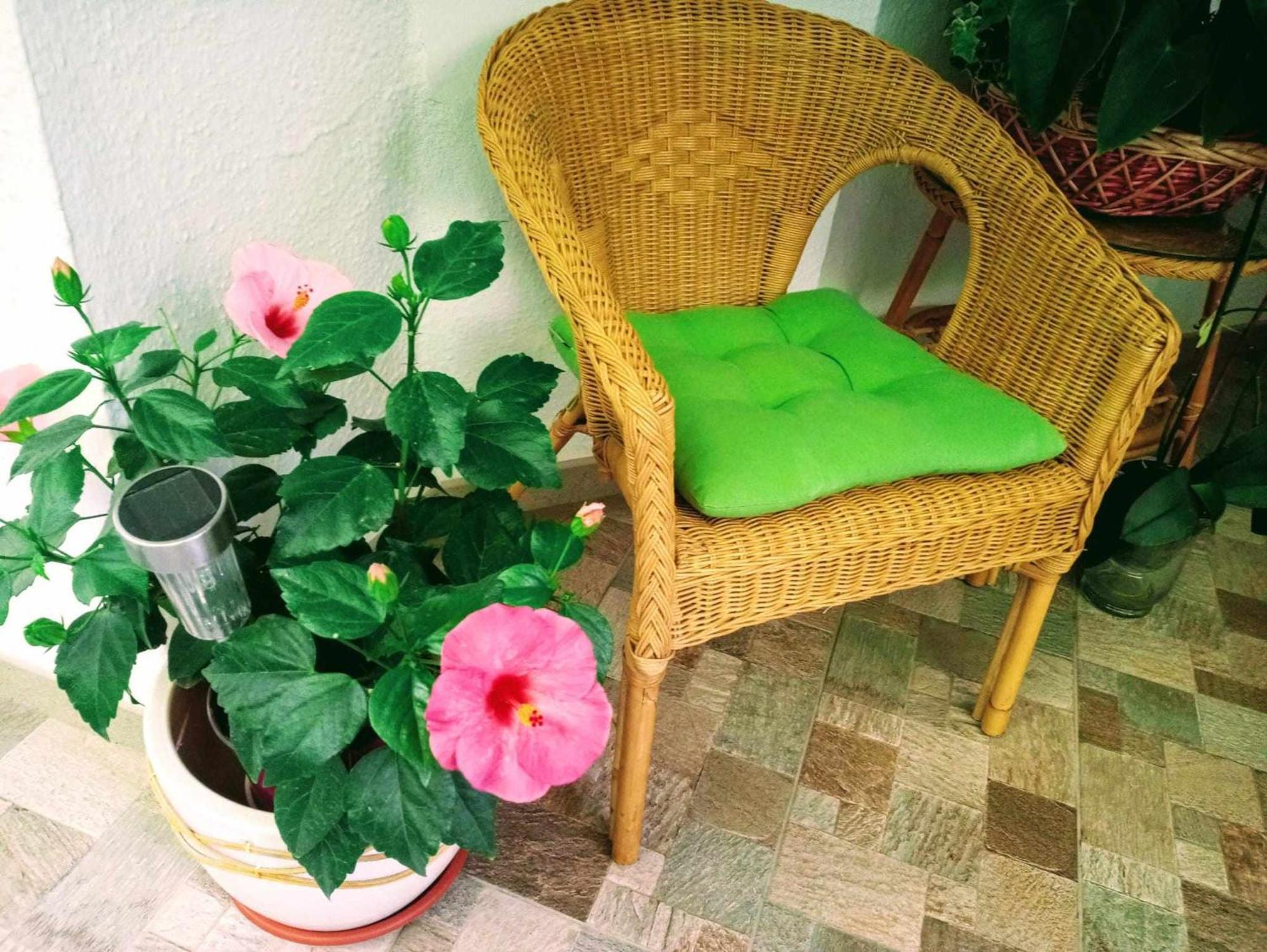 Apartament La Carihuela A 5 Minutos De La Playavistas Al Mar Torremolinos Zewnętrze zdjęcie