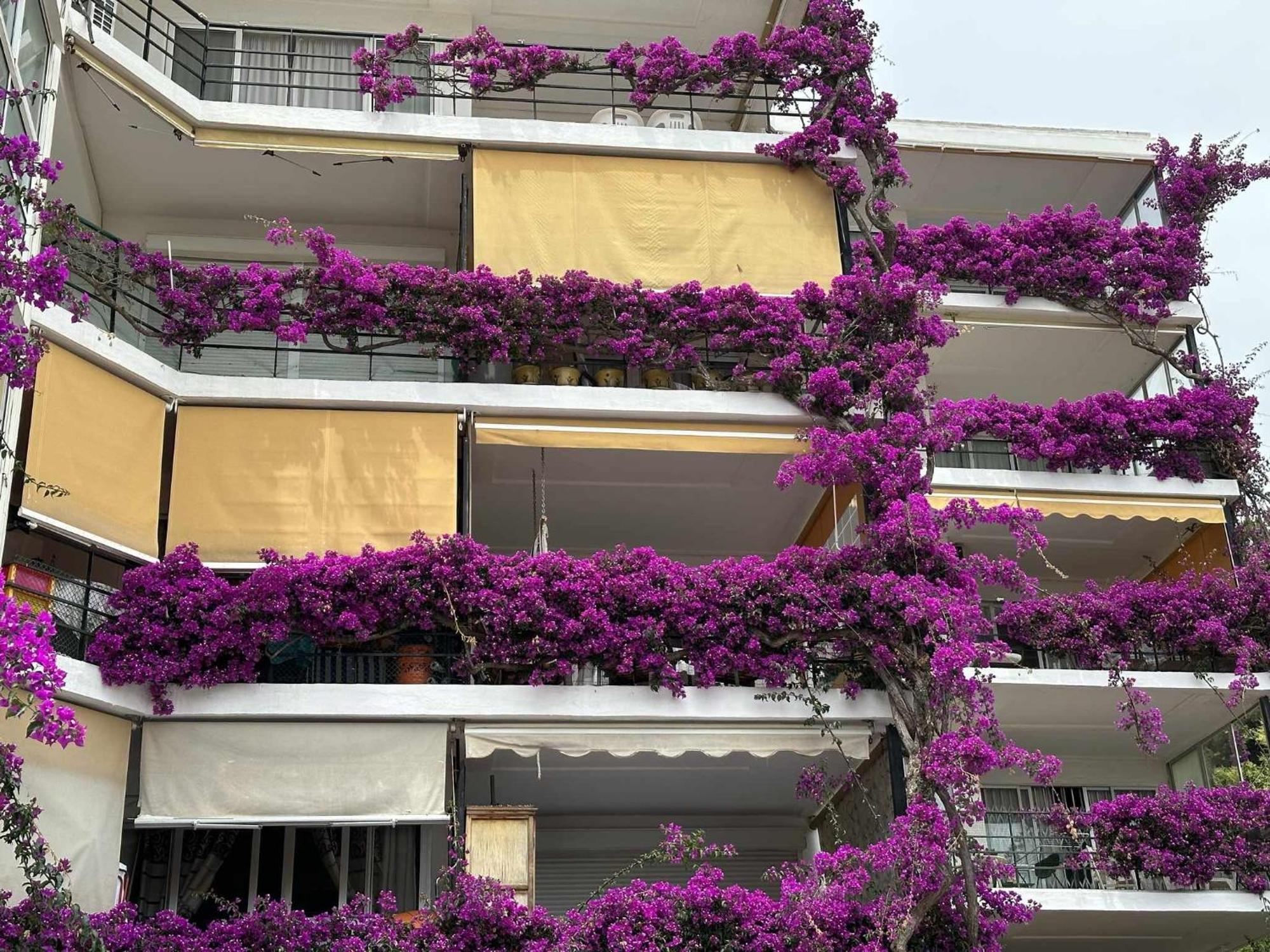 Apartament La Carihuela A 5 Minutos De La Playavistas Al Mar Torremolinos Zewnętrze zdjęcie